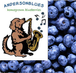Anderson Blueberry Farm