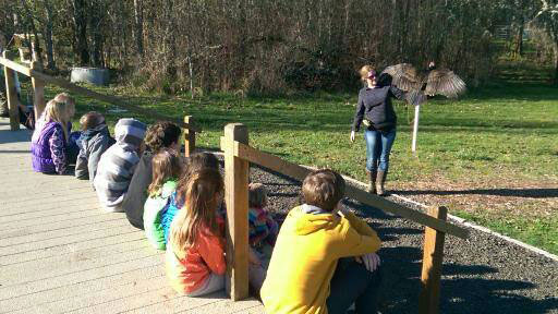 Kids getting up close and personal with a turkey vulture!