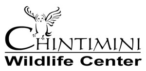 Chintimini logo