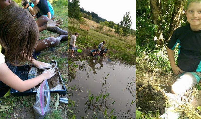 Fun activities for all! Making a wetland in a pan, exploring life in the pond, and nest building