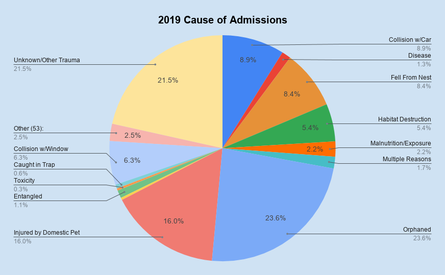 Animal Admission by Cause, 2016