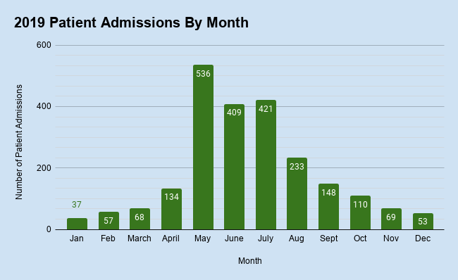Patient Admissions by Month
