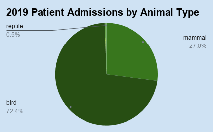 Animal Admission by Species, 2016