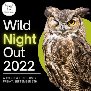 Wild Night Out Auction & Fundraiser - Chintimini Wildlife Center