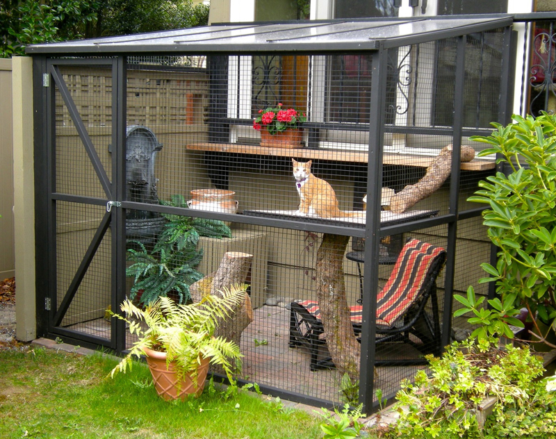 catio_2.jpg