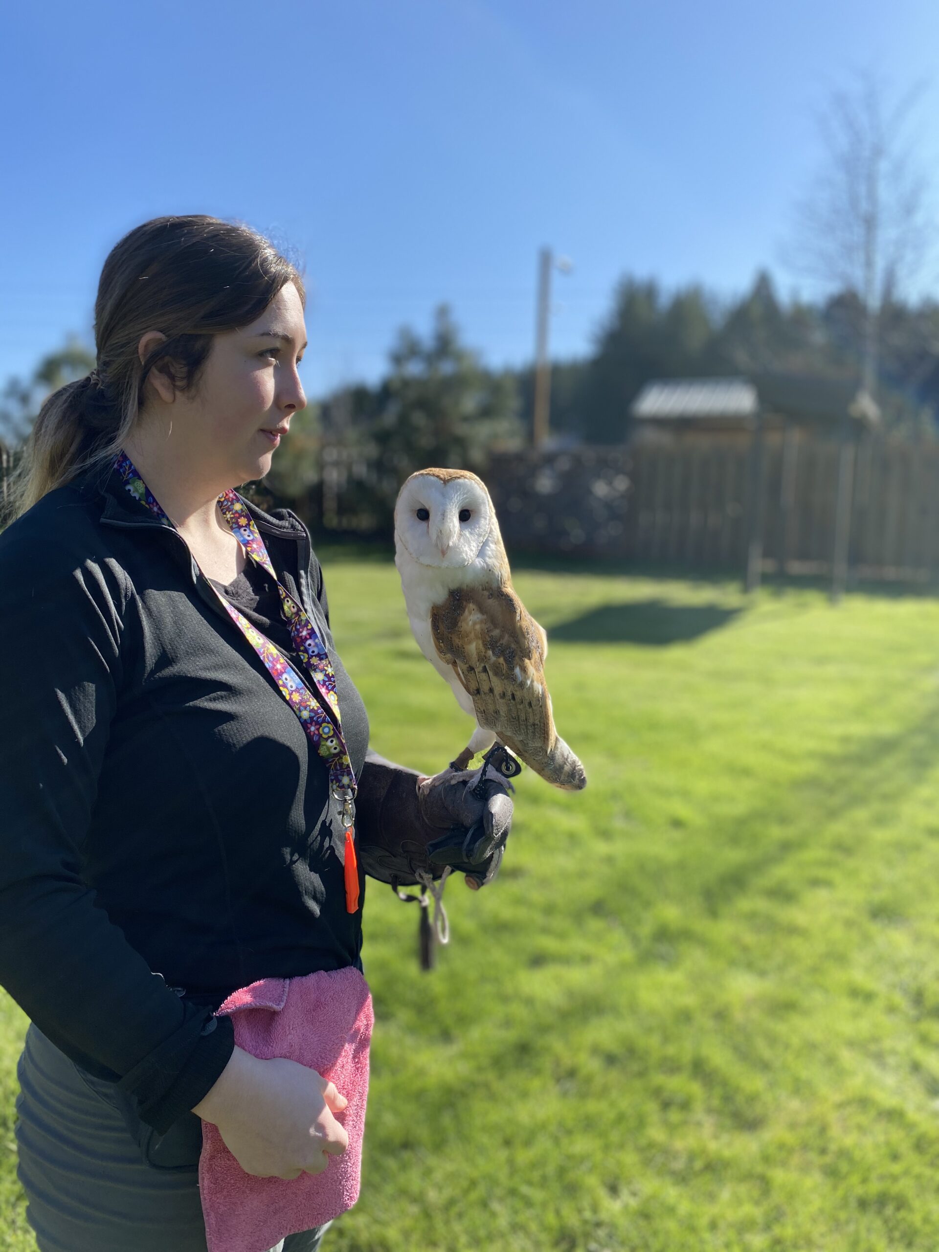 Internships - Chintimini Wildlife Center